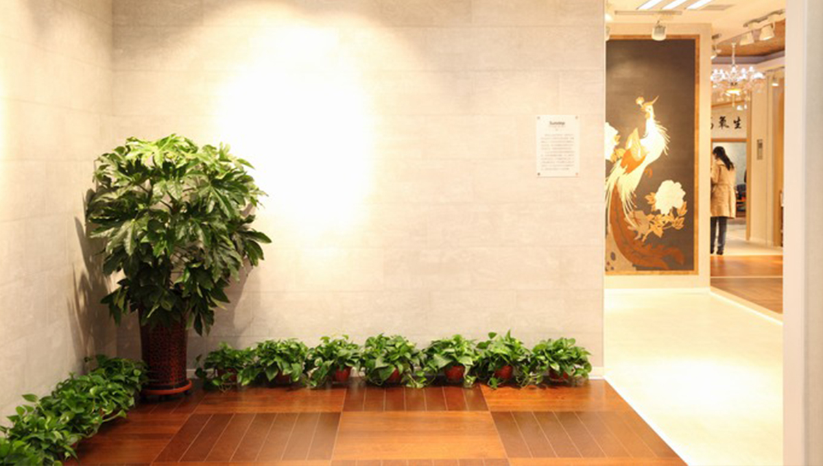 創(chuàng)新發(fā)展，永不止步 4