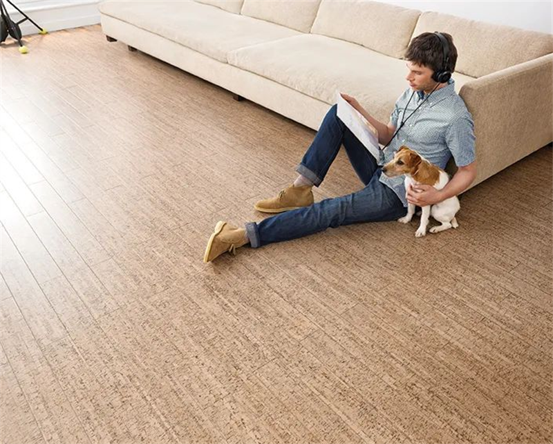 進(jìn)口地板，給家人長久的暖心陪伴 圖片 4