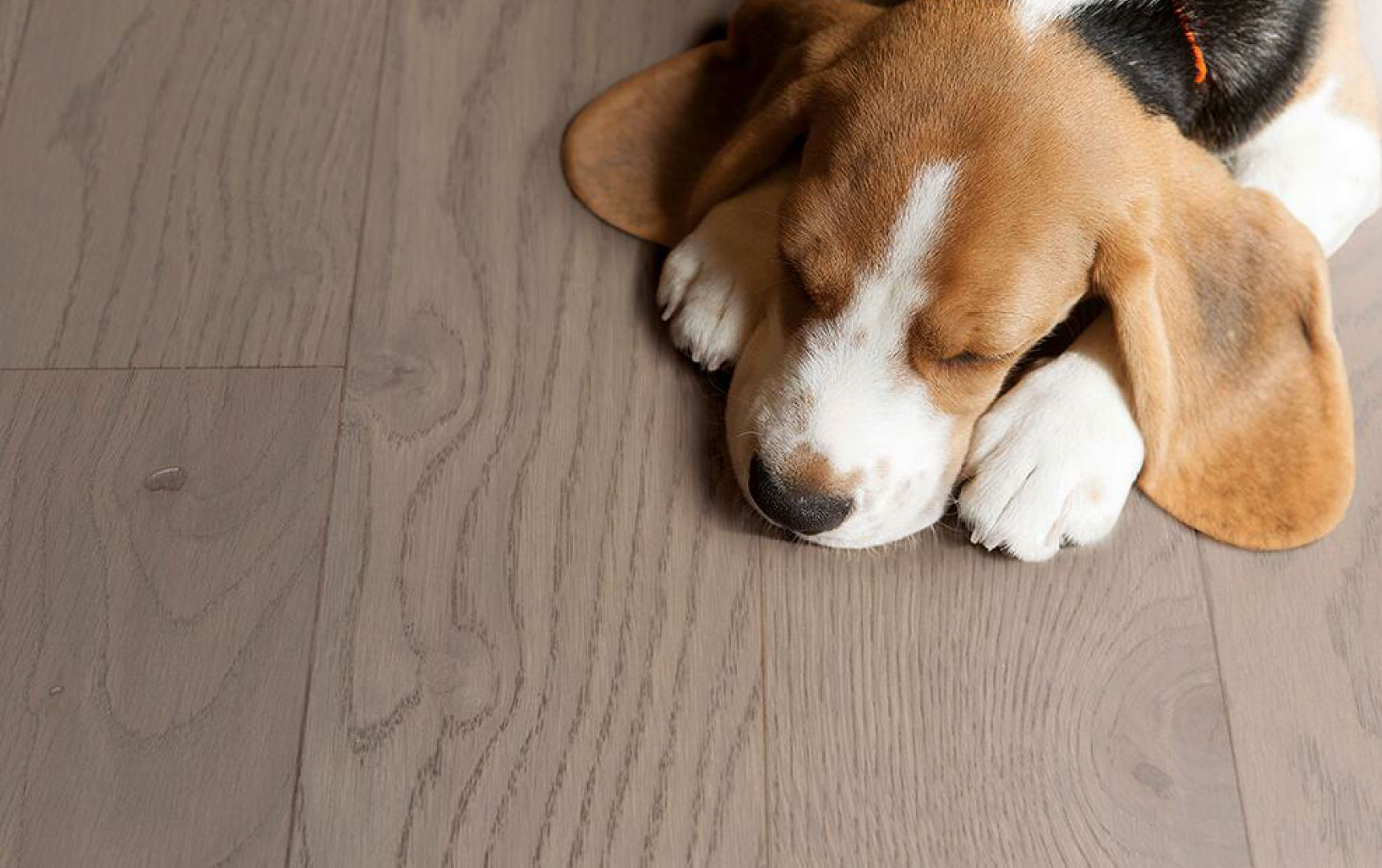 得高實木復合地板從“地”開始 圖片24