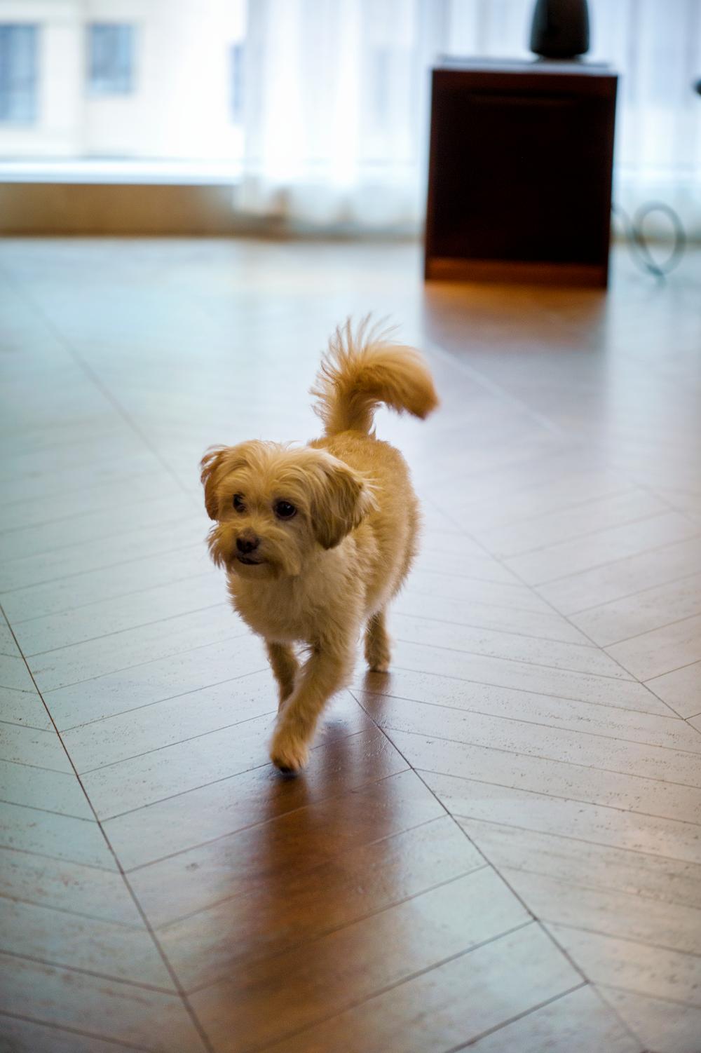 中式風新家的靈魂，居然是這塊軟木地板 圖片12